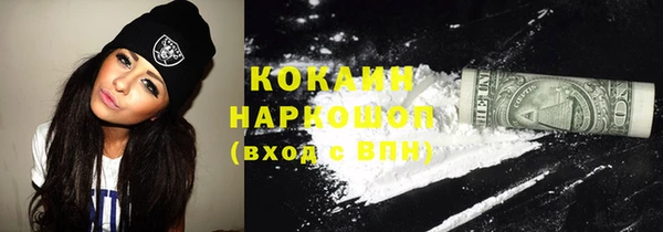 сатива Новокубанск