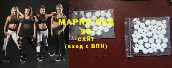 spice Новодвинск