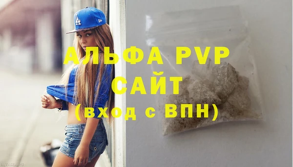 шишки Надым
