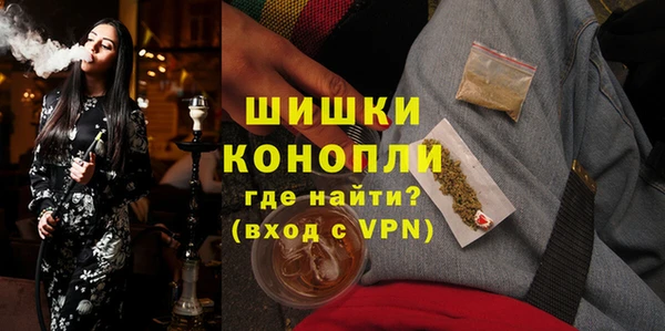 сатива Новокубанск