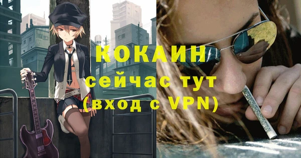 тгк Нея
