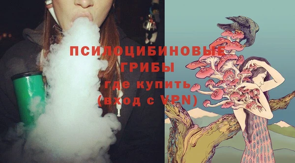 мдпв Нефтегорск