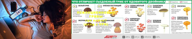 купить закладку  Неман  Галлюциногенные грибы Psilocybe 